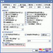 启动Word2003/2007时自动启动智能A